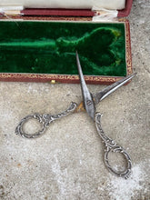 Load image into Gallery viewer, Antique Grape Scissors
