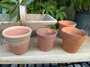 Antique French Trug and Clay Pots