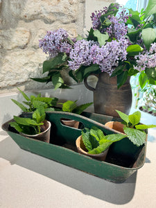 Antique Garden workbox & Pots