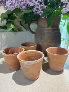 Antique Garden workbox & Pots
